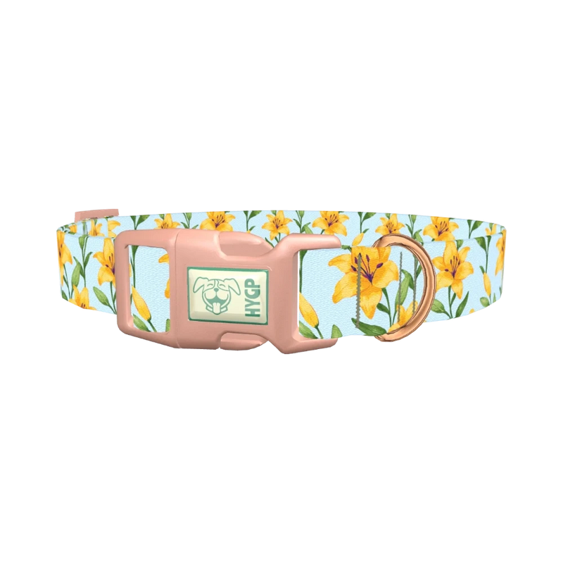 Floral Yellow Lily Dog Collar - plastic rose gold