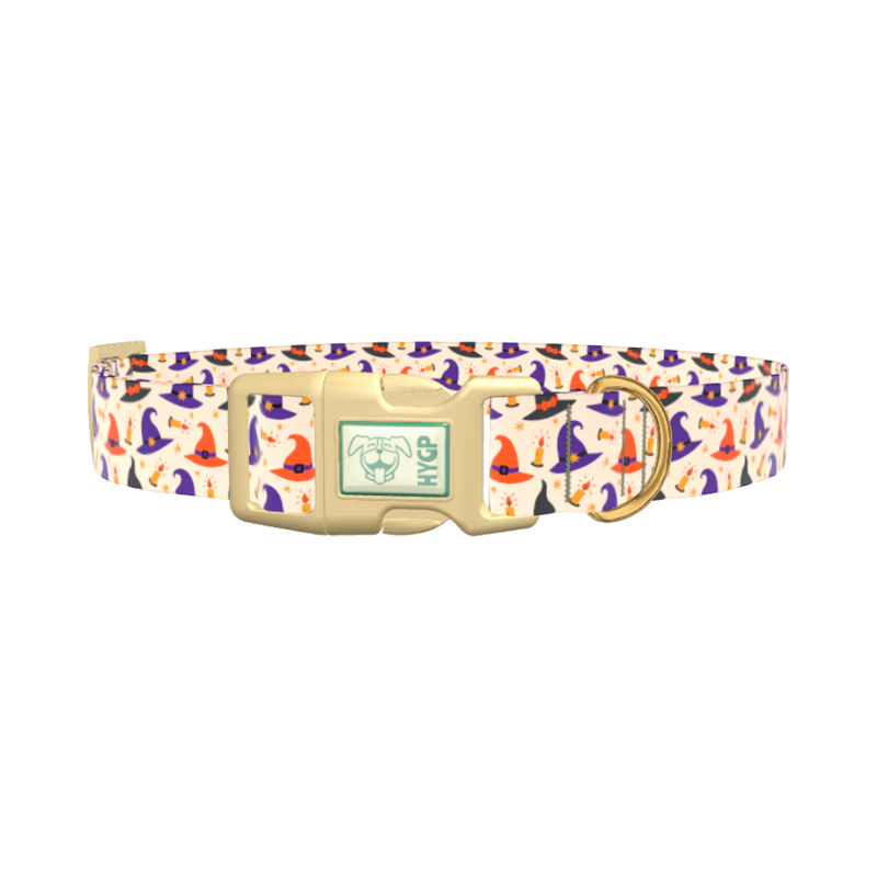 Halloween Witch Hat Dog Collar - plastic silver