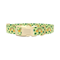 Leprechaun Rainbow Dog Collar - plastic silver