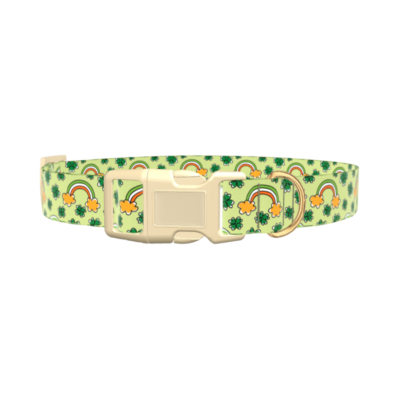 Leprechaun Rainbow Dog Collar - plastic silver