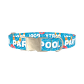 Pool Party Dog Collar - metal silver