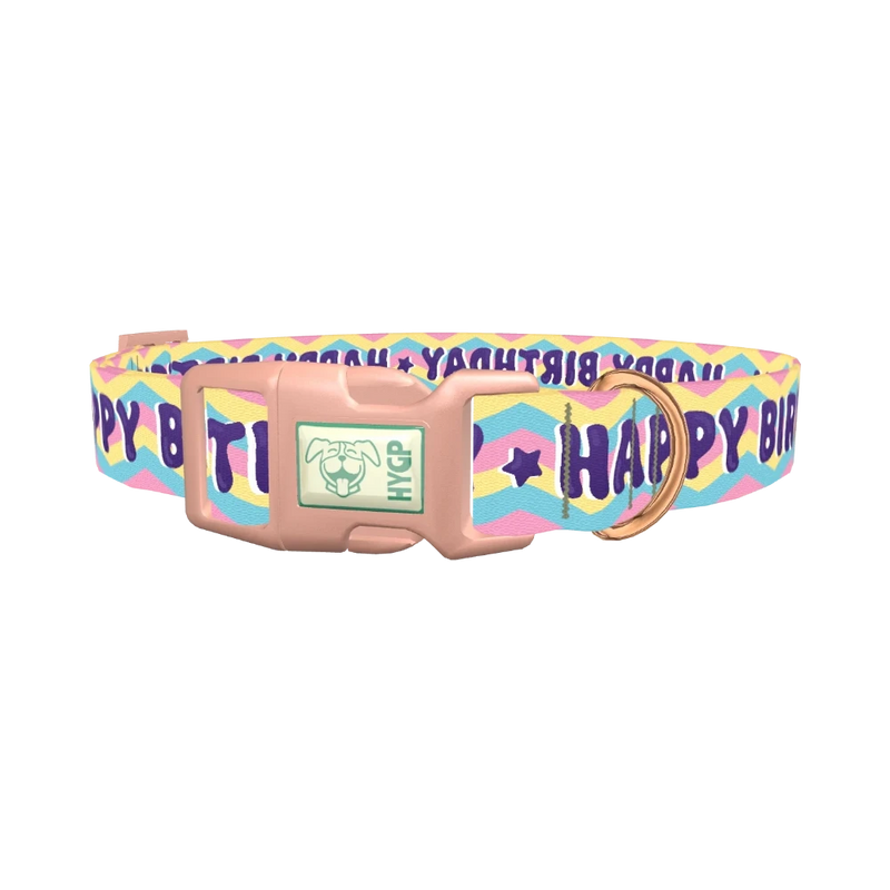 Birthday Chevron Dog Collar - plastic rose gold