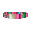 Mexican Floral Stripe Dog Collar - metal silver