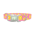 Pink Citrus Burst Dog Collar - plastic silver