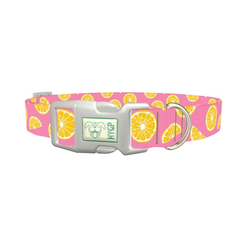 Pink Citrus Burst Dog Collar - plastic silver