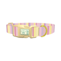 Geometric Stripe Dog Collar - plastic gold