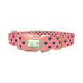 Sapphire Heart Dog Collar - plastic rose gold