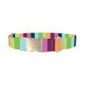 Rainbow Stripe Dog Collar - metal silver