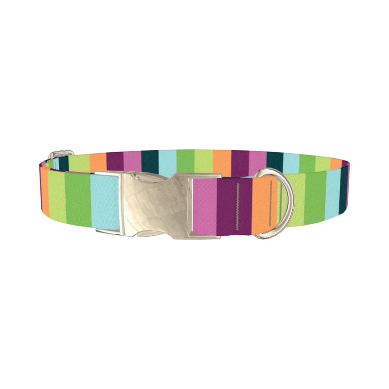 Rainbow Stripe Dog Collar - metal silver