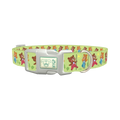 Dancing Teddy Bear Dog Collar - plastic silver