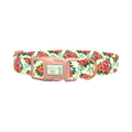Tropical Hibiscus Dog Collar - plastic rose gold