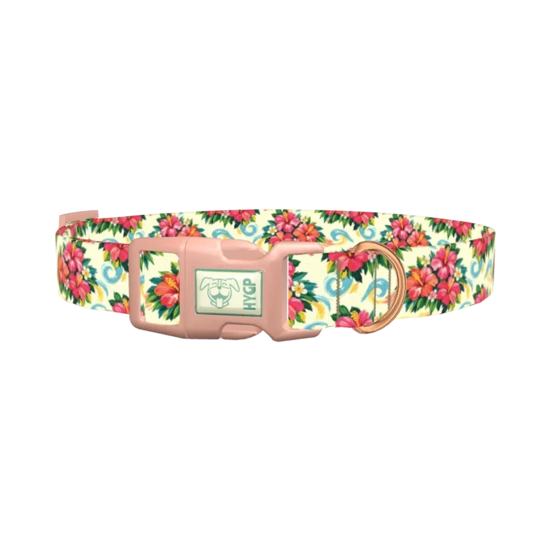 Tropical Hibiscus Dog Collar - plastic rose gold