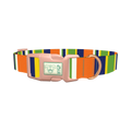 Striped Dog Collar - plastic rose gold
