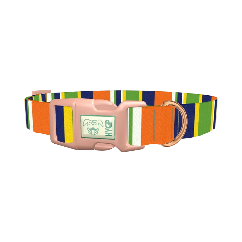 Striped Dog Collar - plastic rose gold