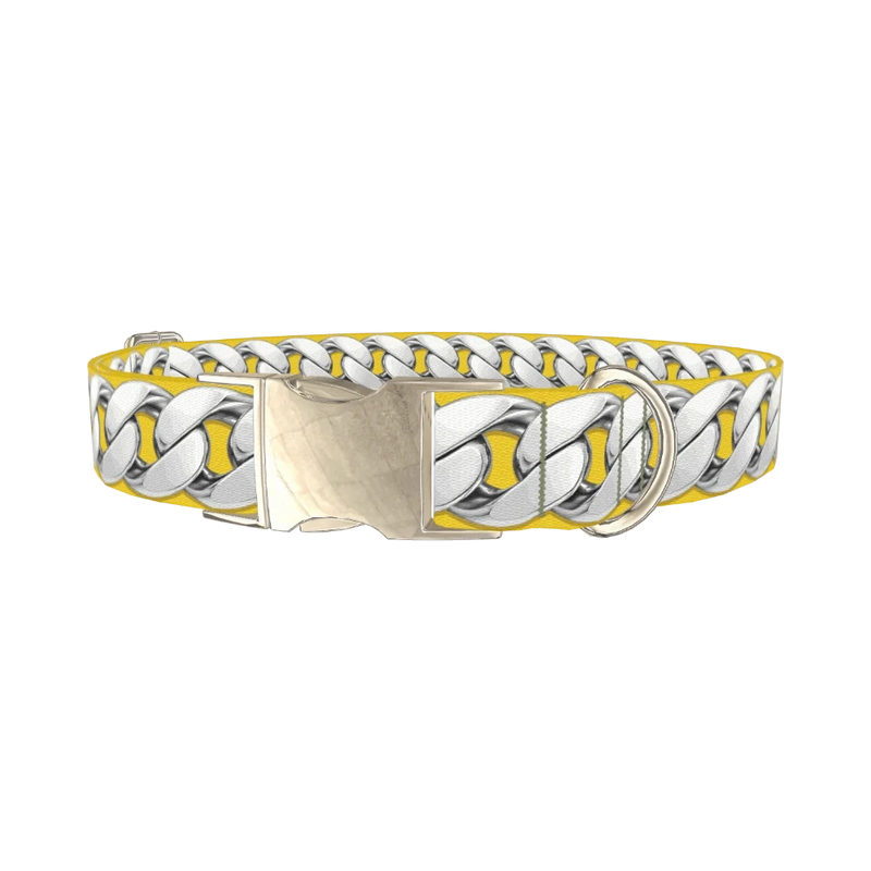 Silver Chain Yellow Dog Collar - metal silver