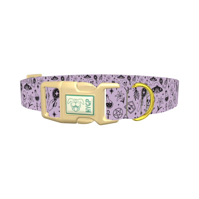 Halloween Witchy Mirror Dog Collar - plastic gold