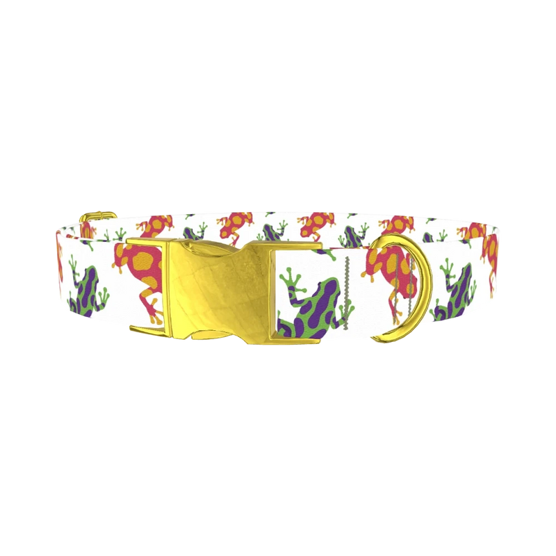Colorful Frog Pattern Dog Collar - metal gold