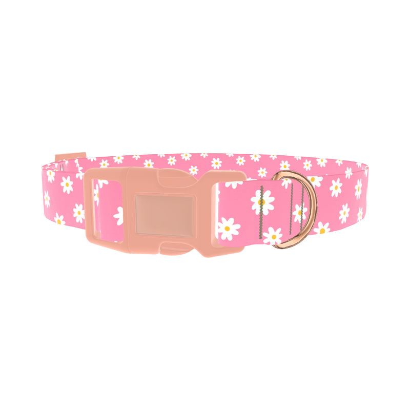 White Daisy Pink Dog Collar - plastic rose gold