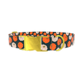 Pumpkin Patch Dog Collar - metal rose gold