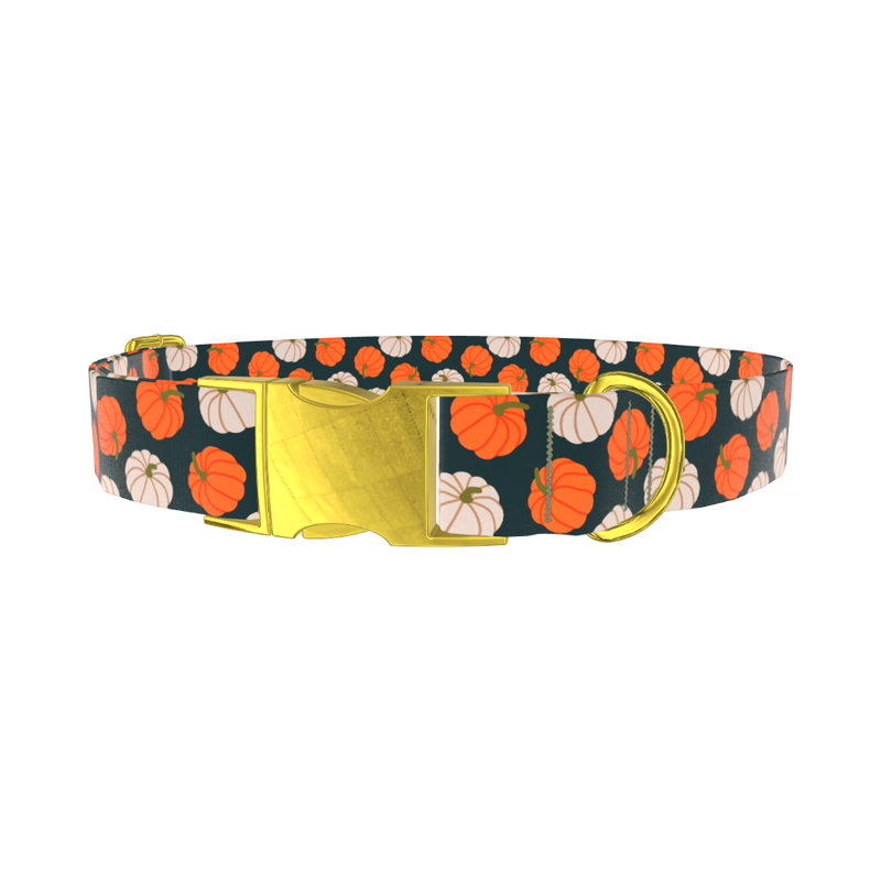 Pumpkin Patch Dog Collar - metal rose gold