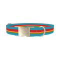 Turquoise Red Stripe Dog Collar - metal silver
