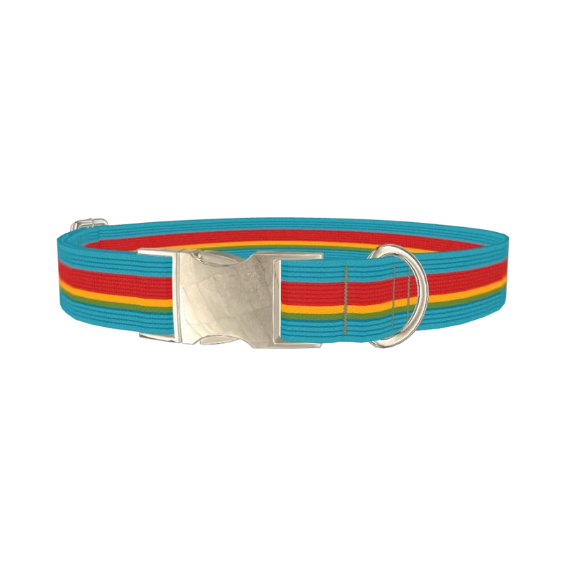 Turquoise Red Stripe Dog Collar - metal silver