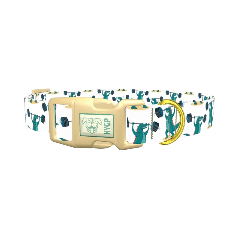 Dinosaur Powerlifting Dog Collar - plastic gold