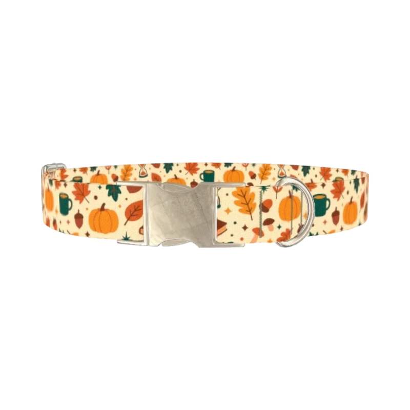 Cozy Fall Dog Collar - metal silver