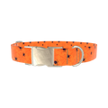 Halloween Spider Dog Collar - metal gold