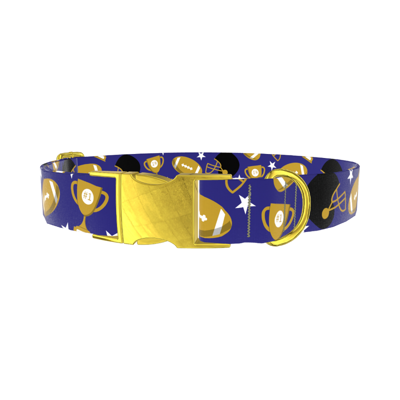 Purple Football Trophy Dog Collar - metal gold