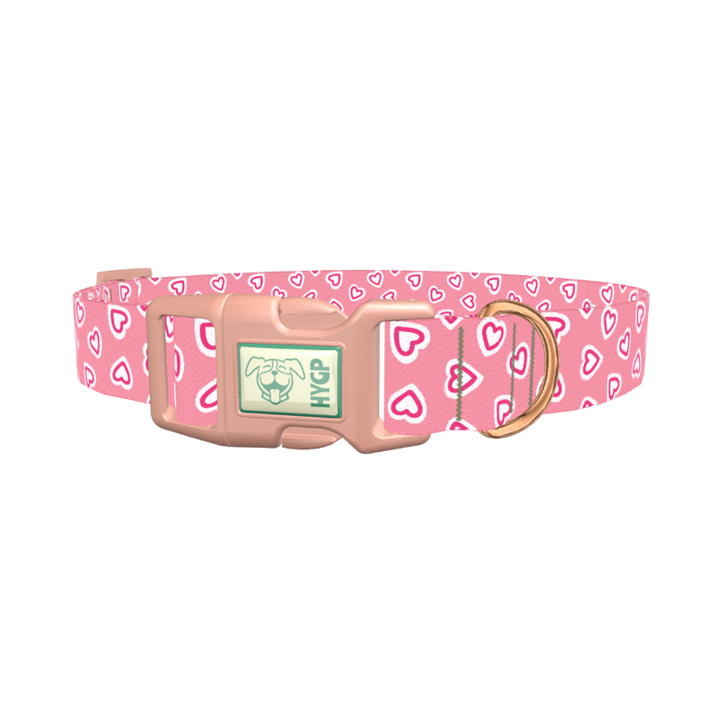 Pink Graphic Heart Dog Collar - plastic rose gold