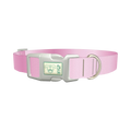 Pink Gradient Dog Collar - plastic silver