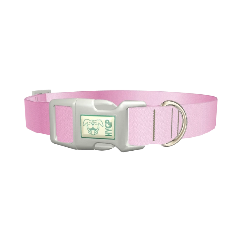 Pink Gradient Dog Collar - plastic silver