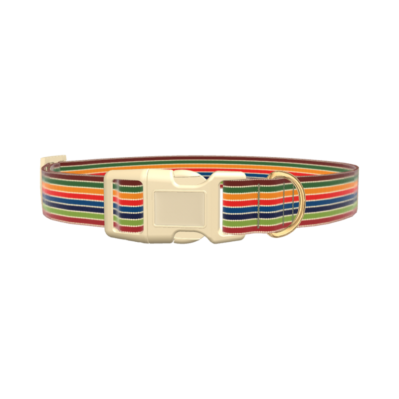 Colorful Honeycomb Dog Collar - plastic silver