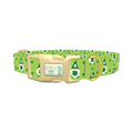 St. Patrick's Day Gnome Dog Collar - plastic gold