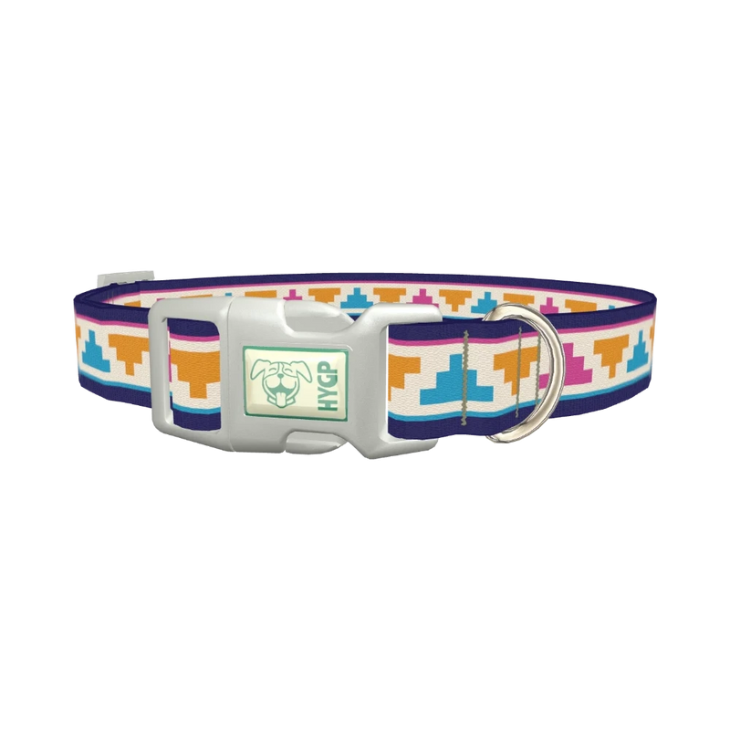 Colorful Tribal Pyramid Dog Collar - plastic silver