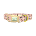 Western Boots and Hats Dog Collar - plastic gold
