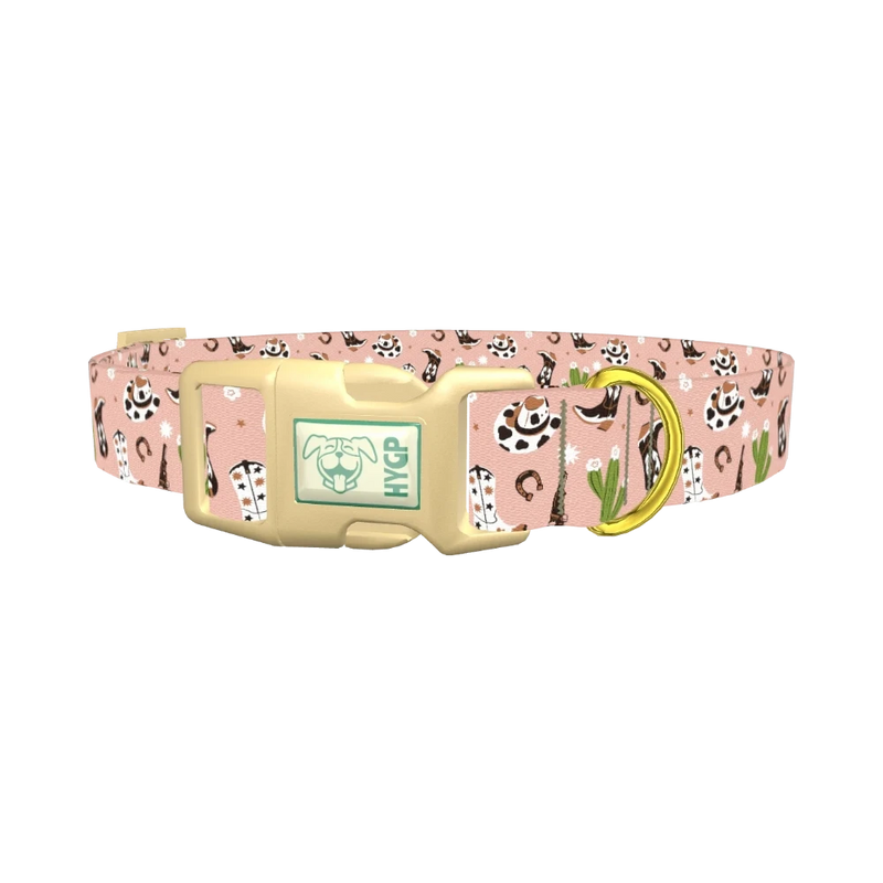 Western Boots and Hats Dog Collar - plastic gold