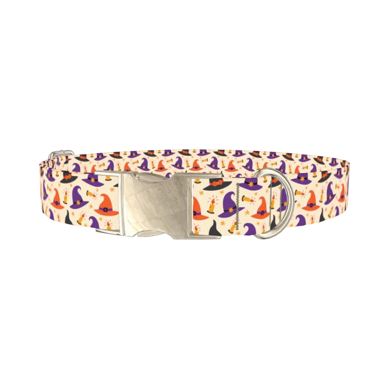 Halloween Witch Hat Dog Collar - metal silver