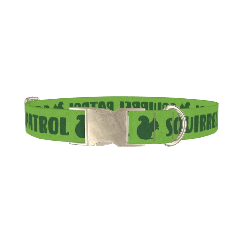 Squirrel Patrol Dog Collar - metal silver