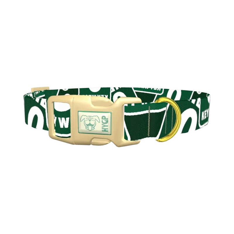 Key West Road Sign Dog Collar - plastic gold