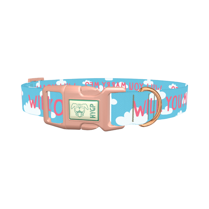 Cloud Phrase Dog Collar - plastic rose gold