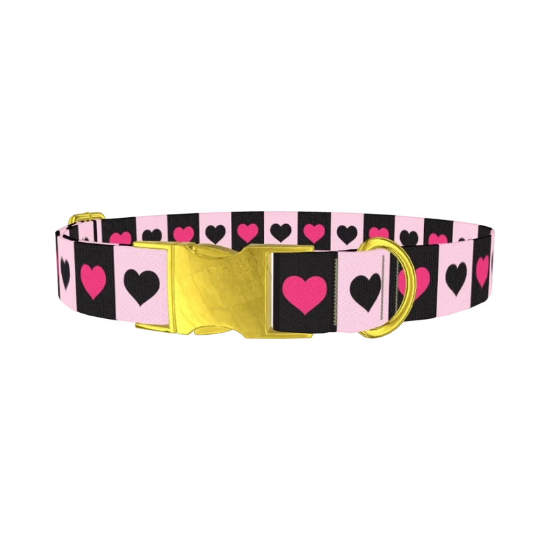 Valentine Heart Stripe Dog Collar - metal gold