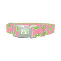 Pink Citrus Dog Collar - plastic silver