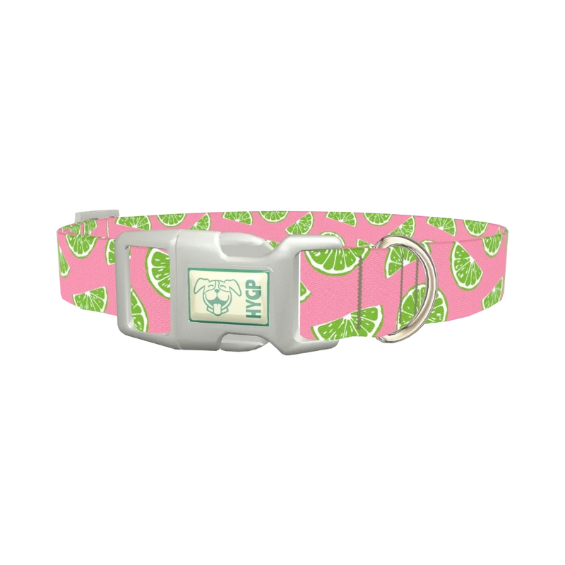 Pink Citrus Dog Collar - plastic silver