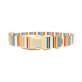 Rainbow Stripe Dog Collar - plastic silver
