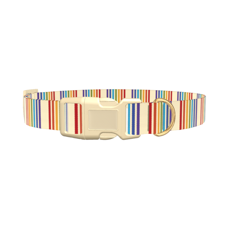 Rainbow Stripe Dog Collar - plastic silver