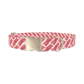 Bacon Pattern Dog Collar - metal silver