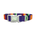 Colorful Stripes Dog Collar - plastic silver