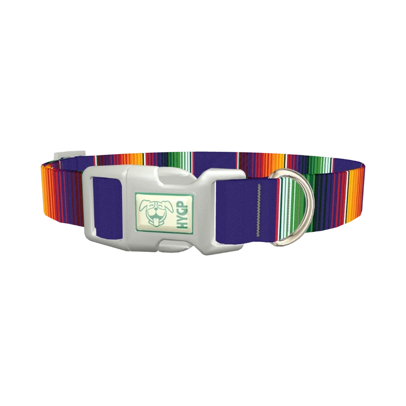 Colorful Stripes Dog Collar - plastic silver